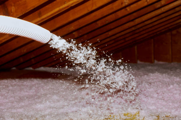 Best Types of Insulation in Weedpatch, CA